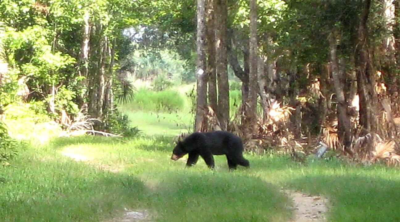 Lake Jessup, Orlando, FL